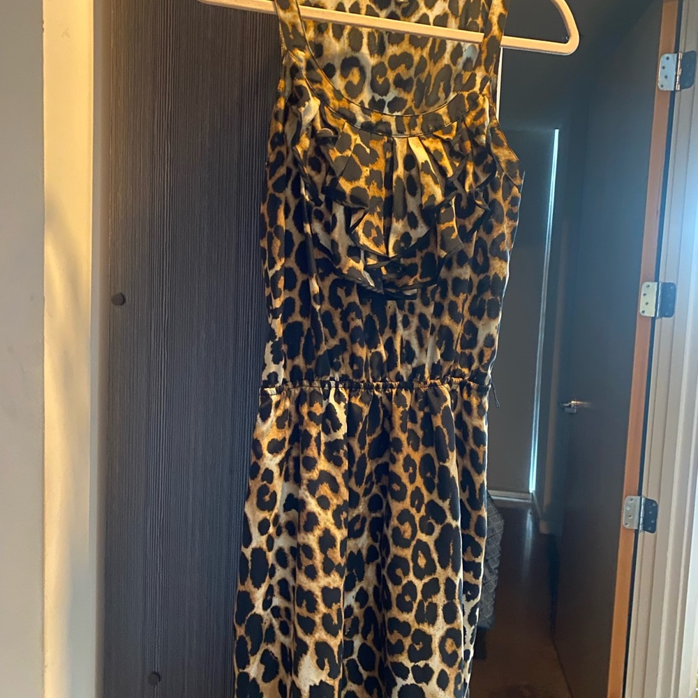 Express Animal Print Dress